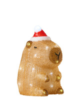 Kapybara akrylfigur 30 LED